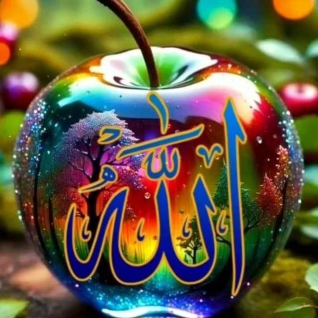 اصلاحی فکر