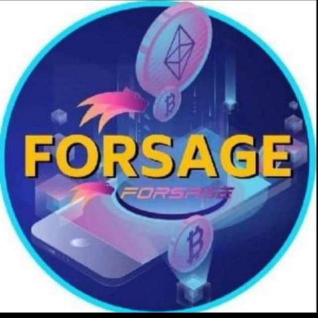 Busd.forsage.io earnings