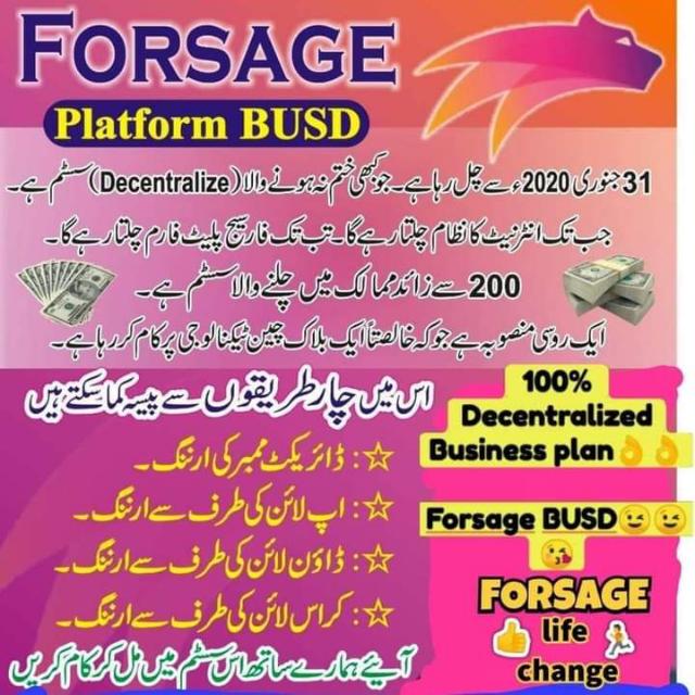 FORSAGE INFORMATION GROUP