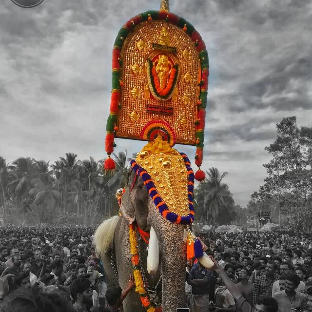 ആനപ്രേമി കൂട്ടായ്മ??✨
