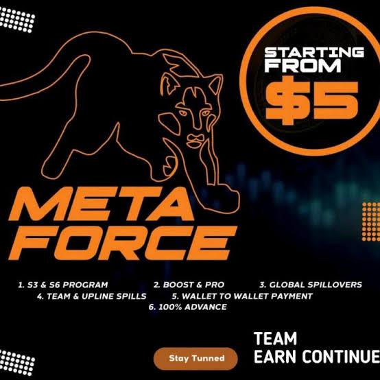 META FORCE ONLINE EARNING