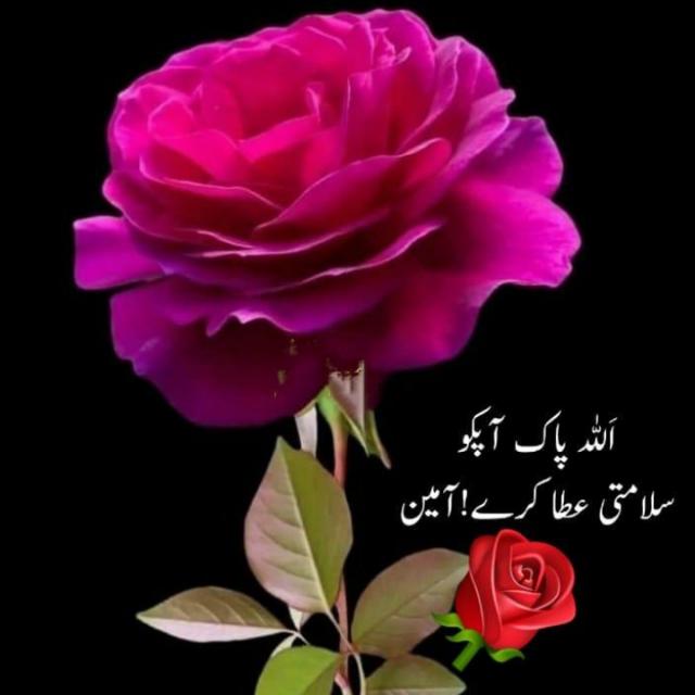 ???? سچیاں ??⁩⁦??⁩⁦??⁩