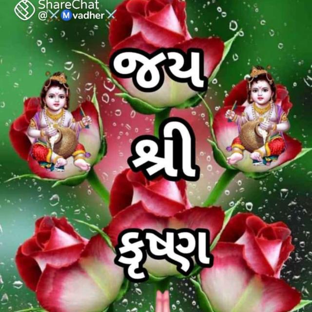 Mauj masti