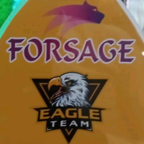 Forsage With Arslañ 1?