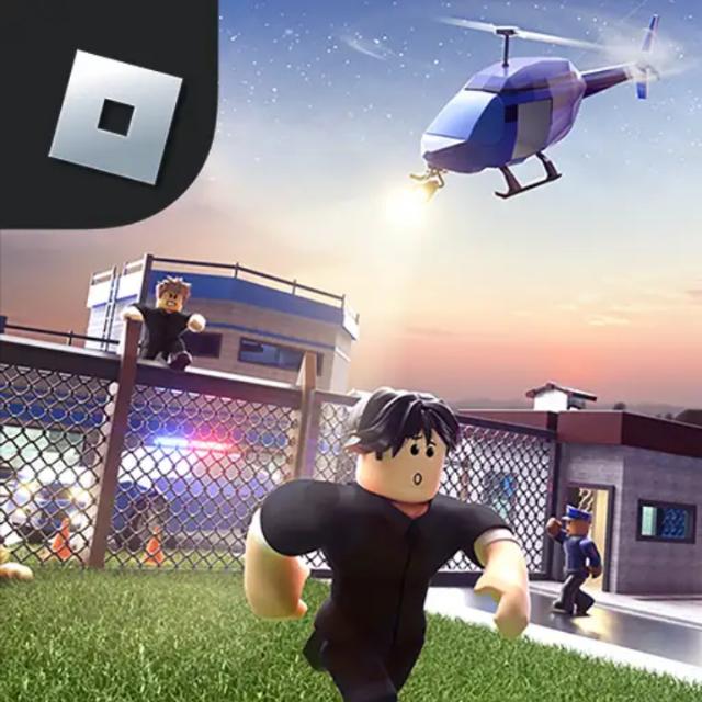 Roblox & Minecraft 