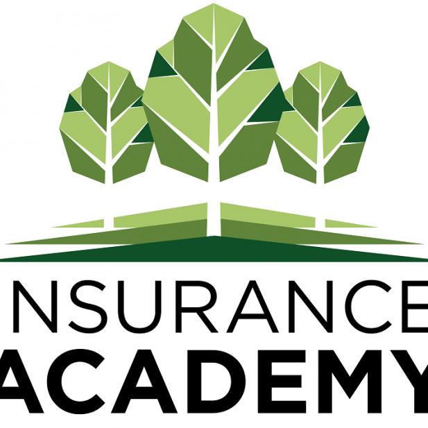 ACEDEME INSURANCE COMPANY