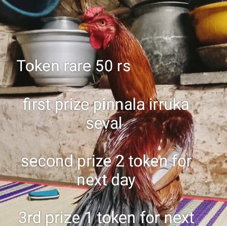 Trichy token seval