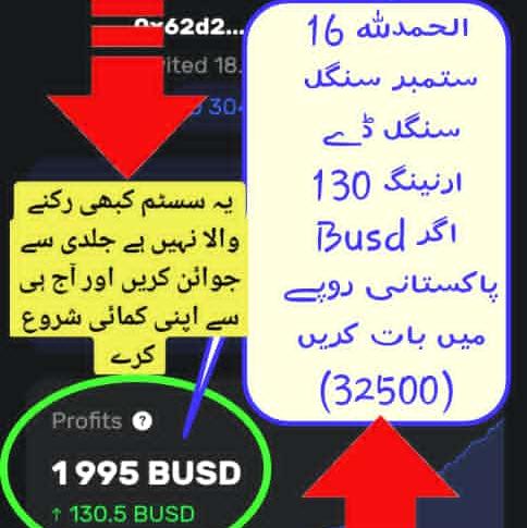 Forsage BUSD