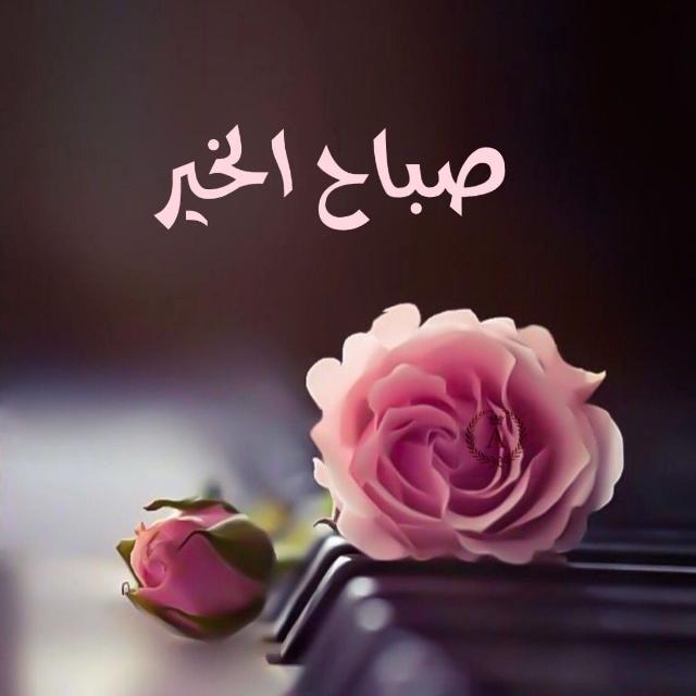 صباح الخير ??