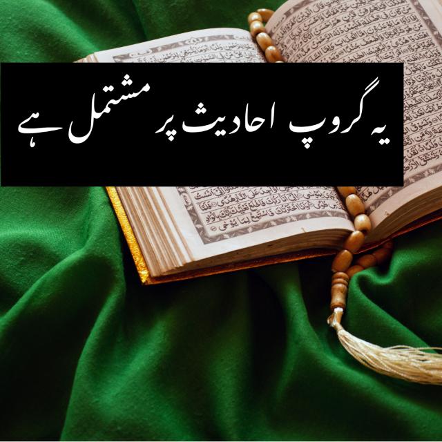 Kashmir group