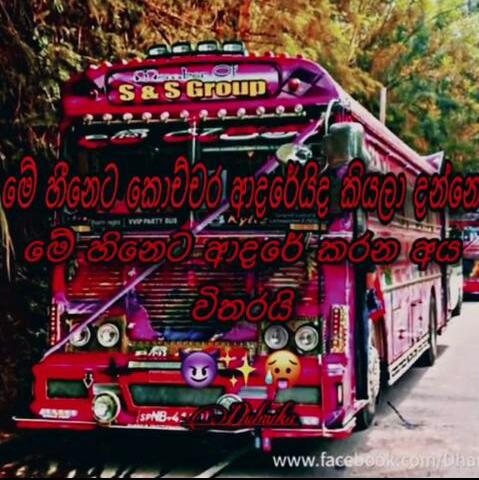 ❤️BUS LOVER …FRENDS❤‍?