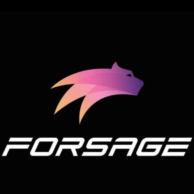 Tiger team forsage ???