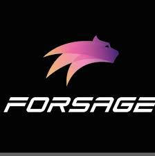 Forsage online Earning