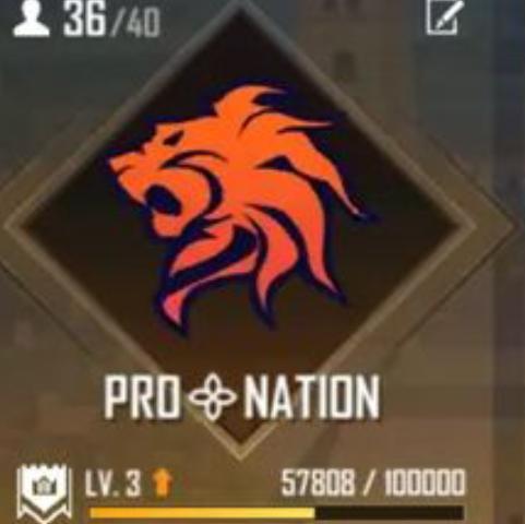PN᯽E - SPORTS
