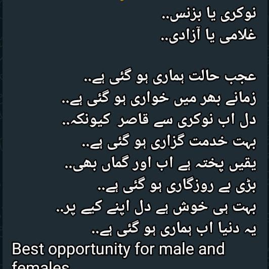 ?Online ?Earning ?