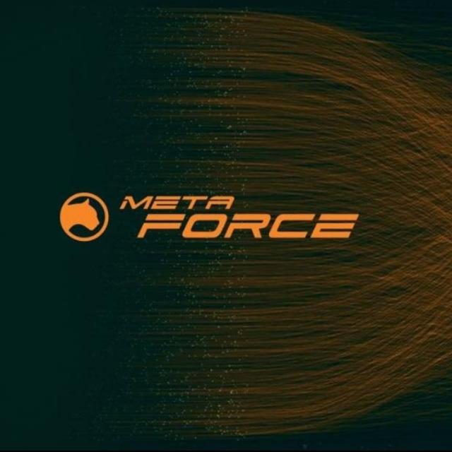 Meta force Stars of Pakistan ♥️?