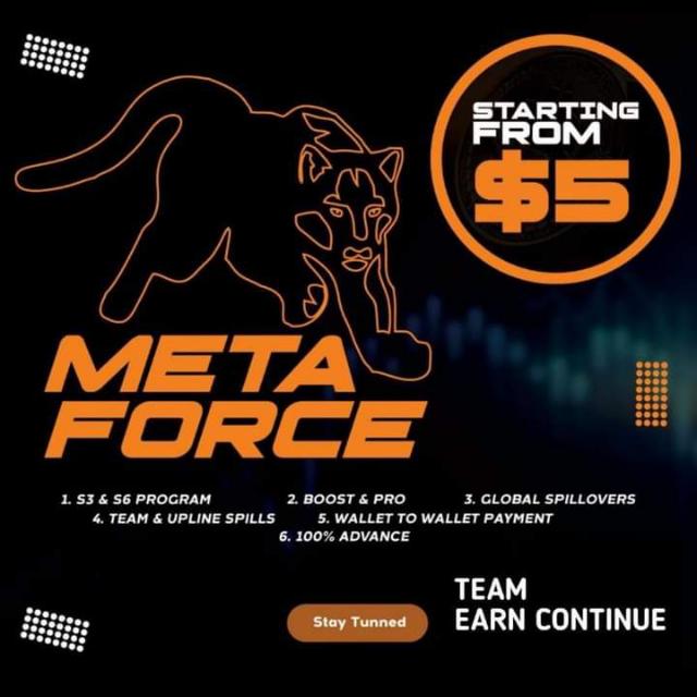 Metaforce?Platform?