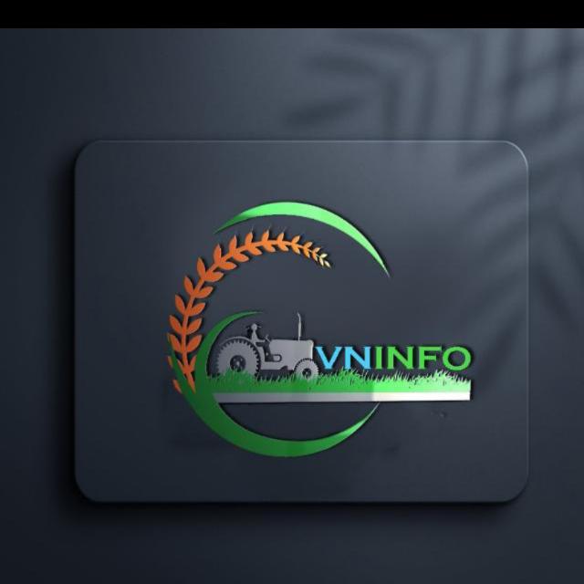 Vn Info 158