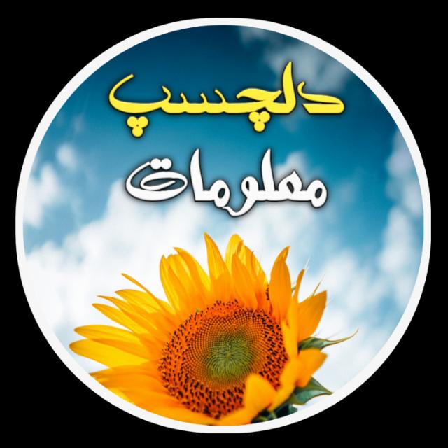 ? دلچسپ معلومات ?