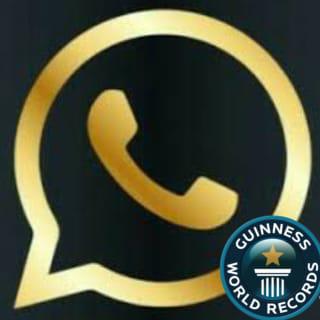 WhatsApp (world record) ✨