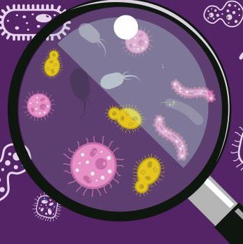 MicroBe Notes