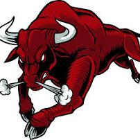 Real bull Whatsapp group