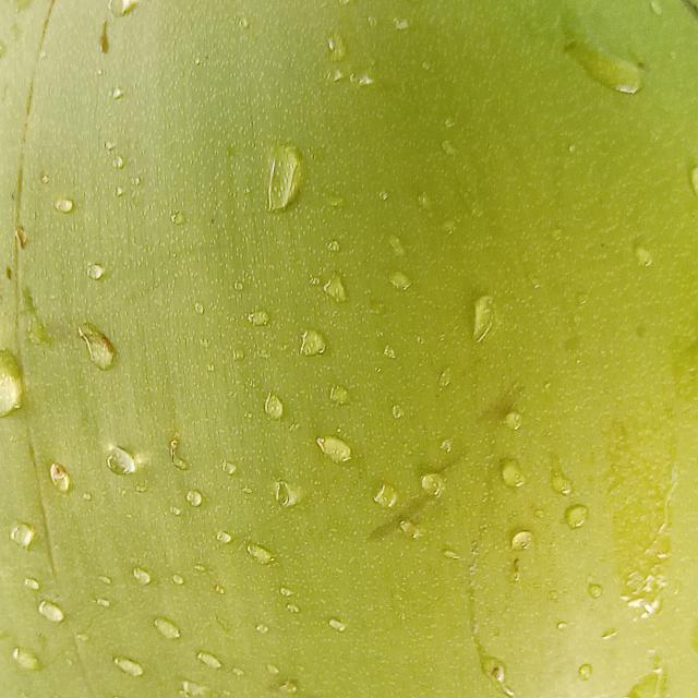 Kundapura boy to boy only