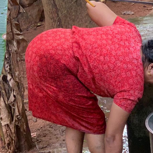 വാണറാണികൾ ??