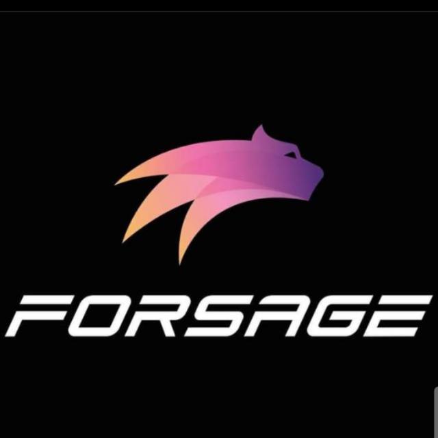 Online work forsage ?