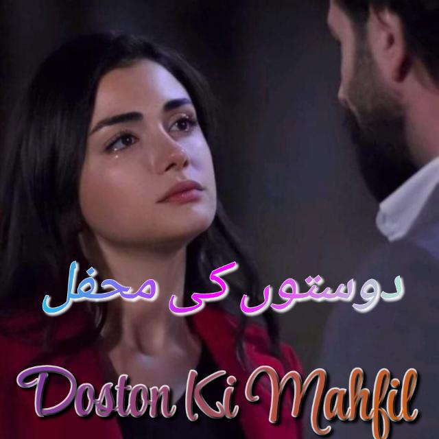 ༶•┈┈⛧┈ دوستوں کی محفل