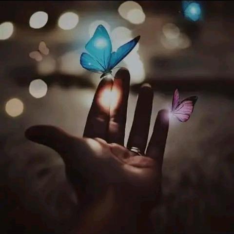 ??️කපල් වෙමු.?♥