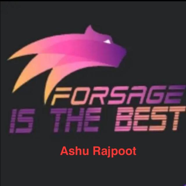 1:?Leads Forsage ?