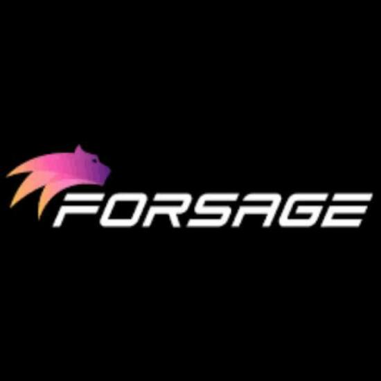 forsage BUSD earning?