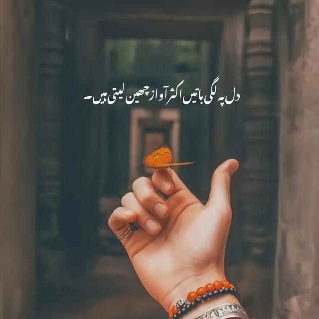 سرکار جون ایلیاء?