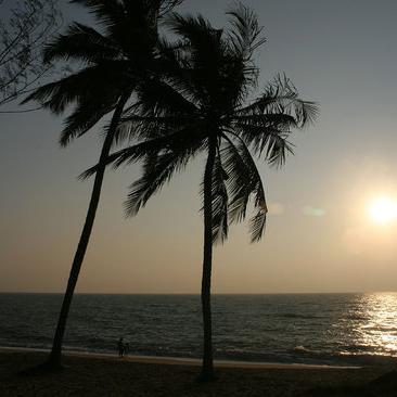 സൗഹൃദം?