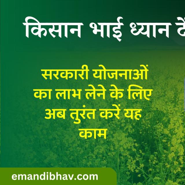 राजस्थानी छोरा 