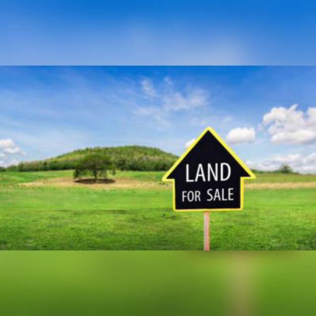 PLOT FOR SALES ?️ ?️