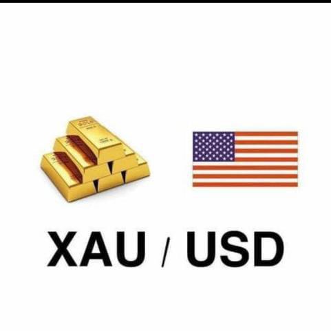 Forex killer Market