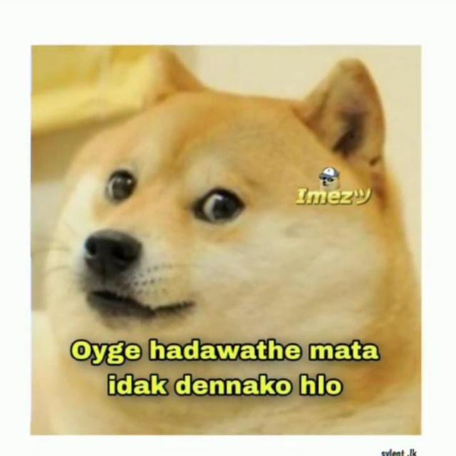 ?〽️