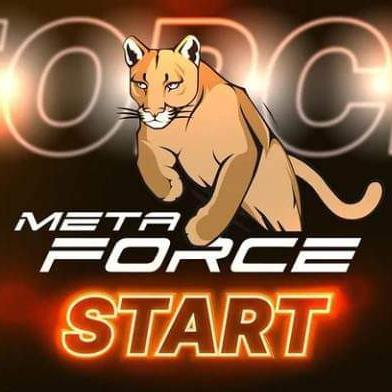 Networking with MetaForce Whatsapp group