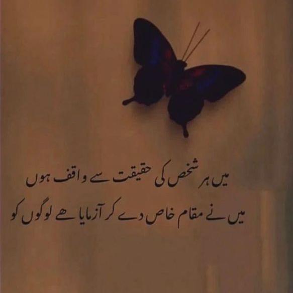 ❤‍?༻DASTAN-E-ISHQ ༻✨