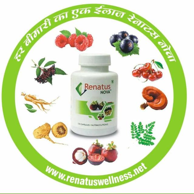 Renatus Nova Service