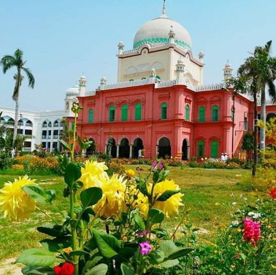 ? مدارس کے پھول?