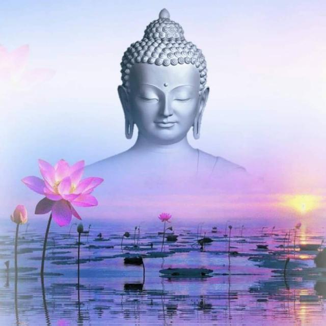 ☸️?⃝⃘̉̉̉̉ බහුජනහිතාය? ?⃝꧂ᘝ