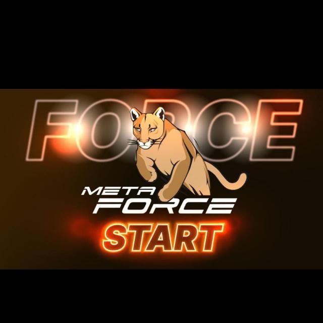 FORCE THE TIGER TEAM Whatsapp group