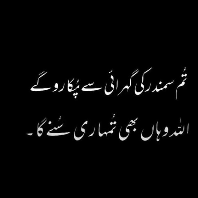 Sufi lines Whatsapp group