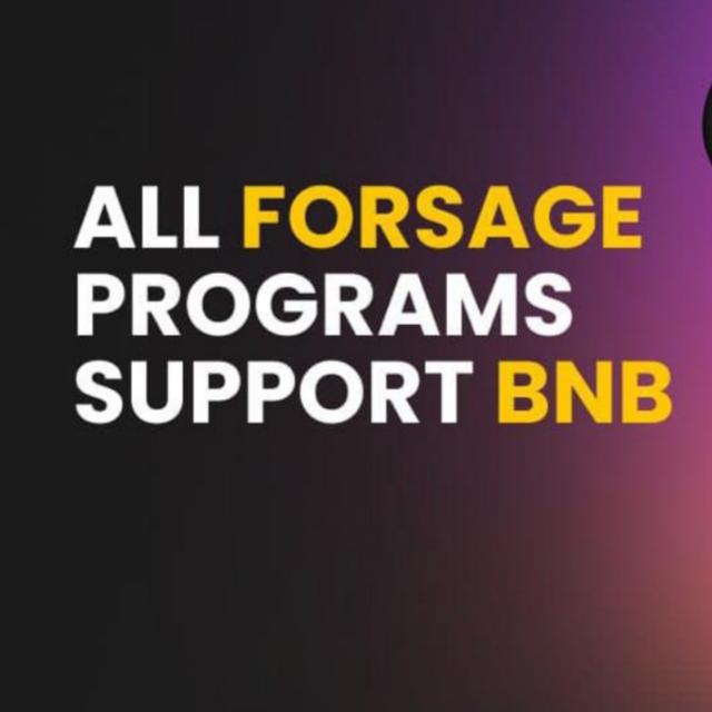 Forsage and EBL And Matic Fortune ??