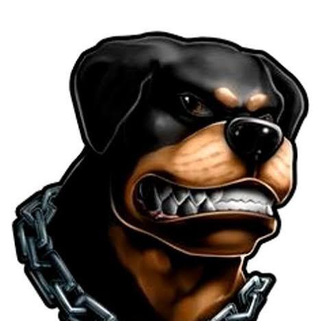 Dogs for sale 