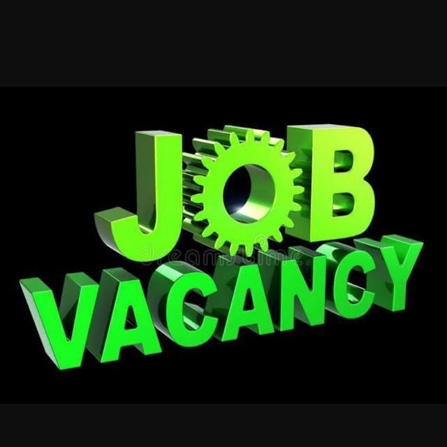JOB PROVIDER WFH P/F TIME