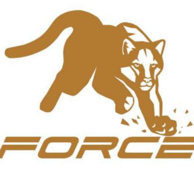 METAFORCE EARNING